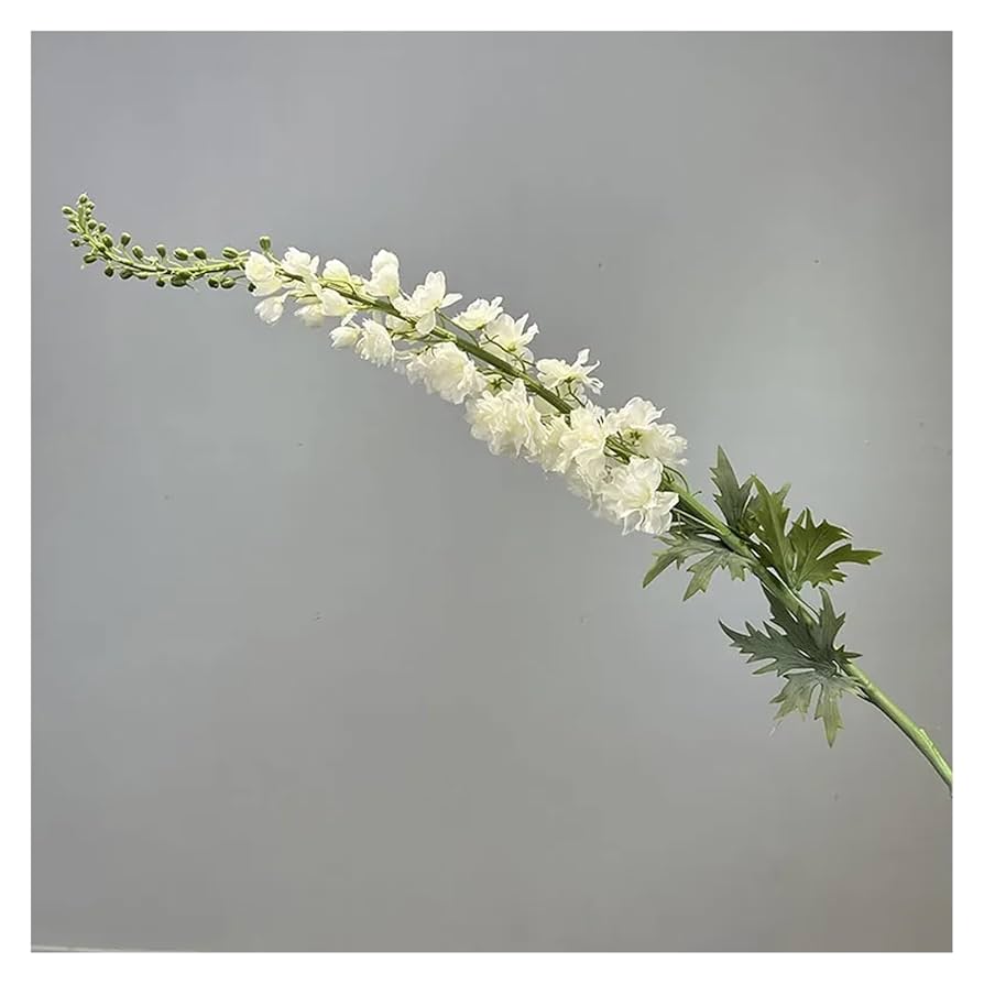 Amazon｜XIATIANX(小さな店) シミュレーションツバメ草 緑の植物